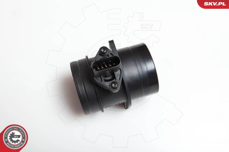 Mass Air Flow Sensor
